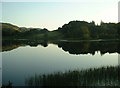 Llyn Tecwyn Isaf in LL47 6YL