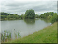 Fishing Pond at Meadow Pit in Haigh