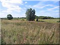Open land between Henlow & Langford, Beds in SG17 5HD