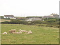 Carnevas Farm, near Porthcothan in PL28 8PN