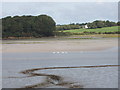Camel estuary and mudflats with view to Dinham in PL27 7HU