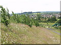Johnstown from the Hafod colliery bing in LL14 6ET