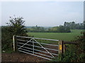 Field between Winey Hill and the A3(T) in KT10 0LQ