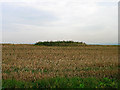 Tumulus, Front Hill in Iford
