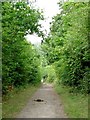Willow Park Bridle Path in SS16 5SJ