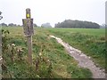 Footpath over Golf Course in BN1 8TJ