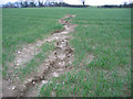 Soil erosion, Warmwell, Dorset in DT2 8EX