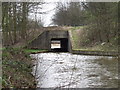 Montgomery Canal at Aber-miwl in SY15 6JH