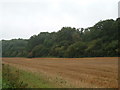Heath Hanger Copse in RG17 0PS