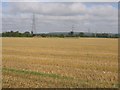 Pylons and farmland east of Biggleswade, Beds in Biggleswade East Ward