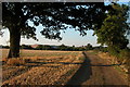 Stubble field on Bredon Fields Farm in WR8 9LB