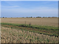 Farmland south of Whittlesford, Cambs in Whittlesford