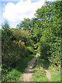 Footpath, Thorndon Country Park, Brentwood in CM13 3EG