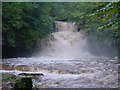 Waterfall in Flood in DL8 4JW