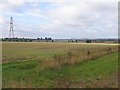 Farmland, Millow, Dunton, Beds in SG18 8QY