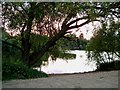 Parsloes Park Pond in RM9 6BX