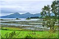 Castle Stalker viewed across Loch Laich in PA38 4DD