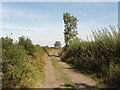 Road or Bridleway? Kimble Wick in HP17 8SX