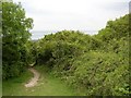 Path to Tennyson's Monument, Totland in PO39 0HZ