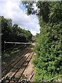 Railway Lines, Billericay, Essex in CM11 2TX