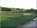 Watercress beds in BA12 7EG