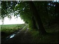 The Bridleway past Bixmoor Wood in OX10 6QS