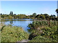 Angling Club pond near Sherburn in Elmet in LS25 6PQ