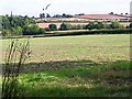 Farmland at Shortwood Farm, Trowell in NG9 3QQ