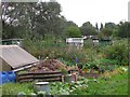 Allotments in SK4 2EB