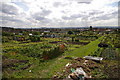 Spa Hill Allotments in SE19 3DB