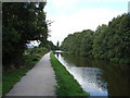 Leeds-Liverpool Canal, looking towards Riddlesden in BD20 5PY