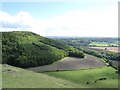 Roundway Hill in SN11 0PW