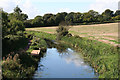 Sampford Peverell: Grand Western Canal at Holbrook Bridge in EX16 7EQ