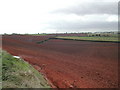 Brown Fields in NG17 7DF