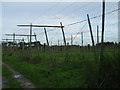 Hop field. in OX13 5PL