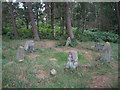 Doll Tor Stone Circle in DE4 2BG
