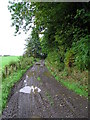 Farm track in PA6 7AU