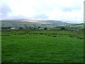 Across the Fields to Alston in CA9 3TJ