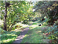 Footpath in Panorama Woods, Ilkley in LS29 9BP