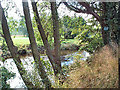 River Wharfe at Ilkley Golf Club in LS29 0BY