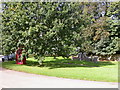 Scaldwell Village Green in Scaldwell