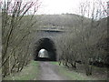 Birchall Tunnel, North Staffs in ST13 5RQ