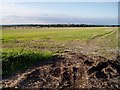 Farmland near Fulbourn in CB21 5EG