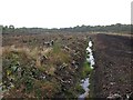 Peat workings in Wilmslow West and Chorley Ward