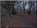 Woods north of Chalfont St Giles in HP8 4NR