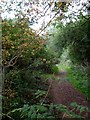 Footpath to Clay Hill Rd in SS16 4RN