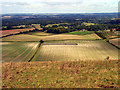 Fields near East Woodhay in RG17 9EG