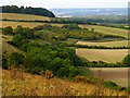 Fields and Woodland near Bottomstead Farm in RG20 0AL