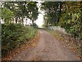 Farm track and wall at Kilconquhar in KY9 1PD