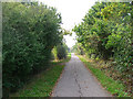 Cuckoo Trail between Polegate and Hailsham in BN27 3PN